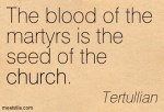 aaa-Tertullian-church-Meetville-Quotes-239492